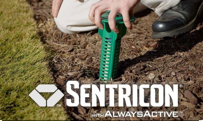 (5) – Termite bait station