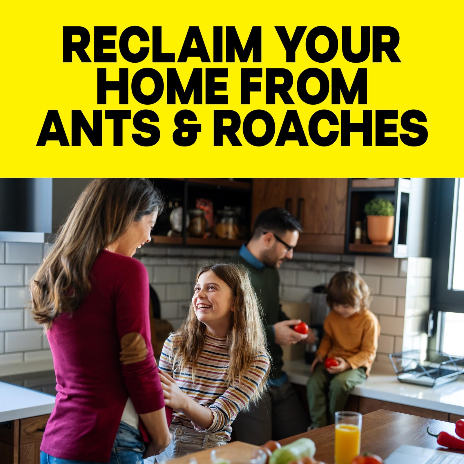 Raid Ant & Roach Killer Spray For Listed Bugs, Keeps 17.5 Fl Oz (Pack of 1)