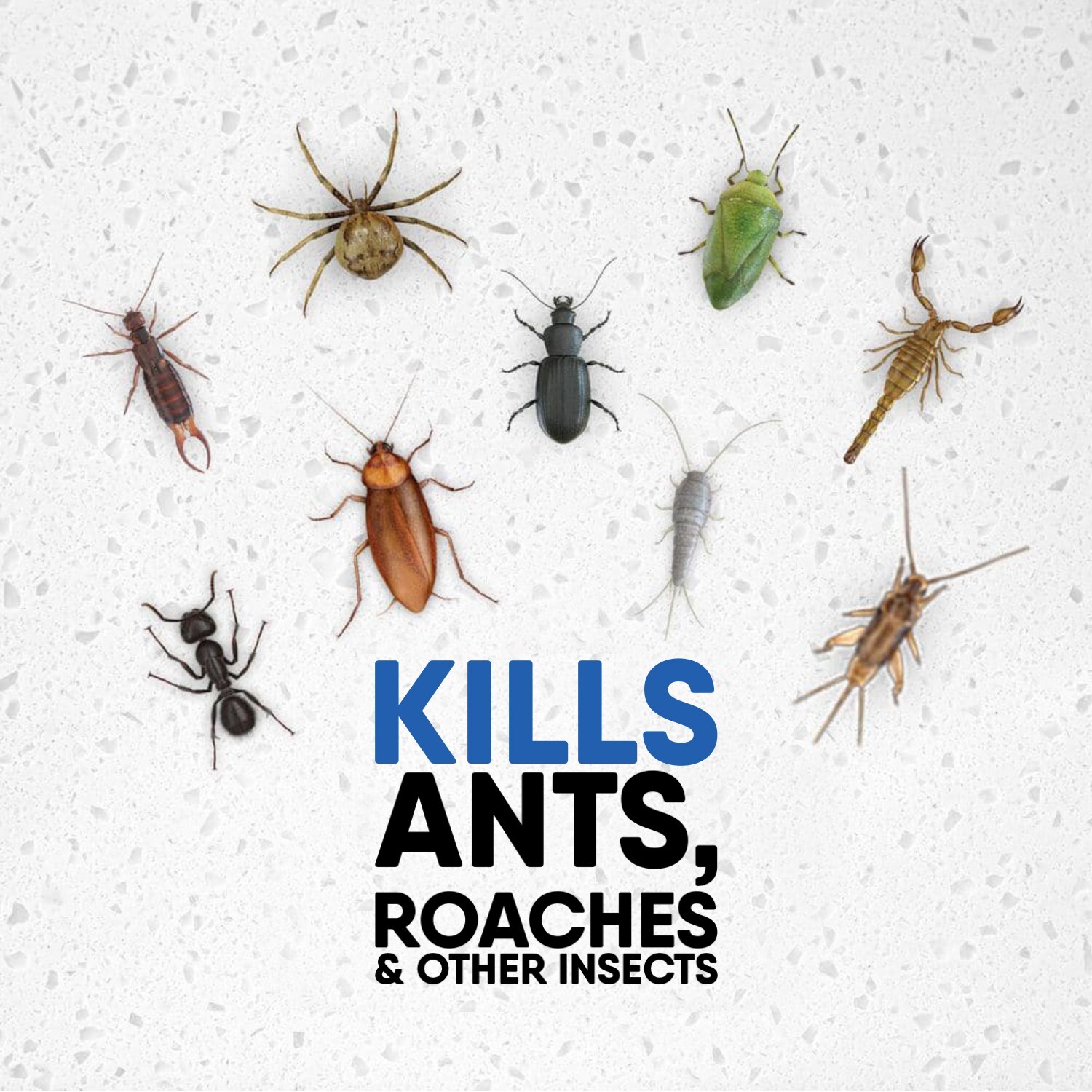 Raid Ant Killer : Experience the Power of Pine in Pest Control | 17.5 oz
