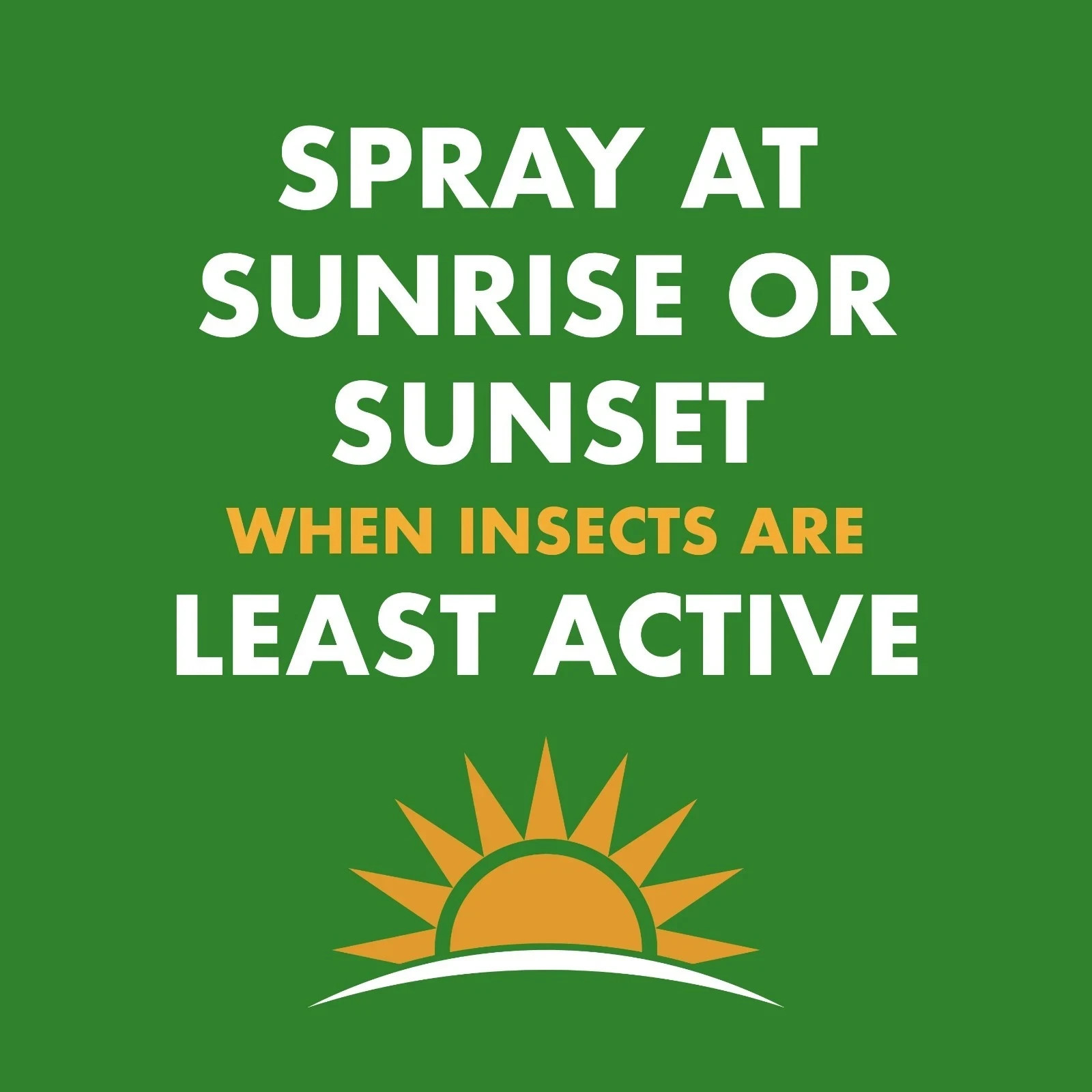 Spectracide Wasp & Hornet Killer Aerosol Spray, Twin Value Pack, 18.5 Ounce