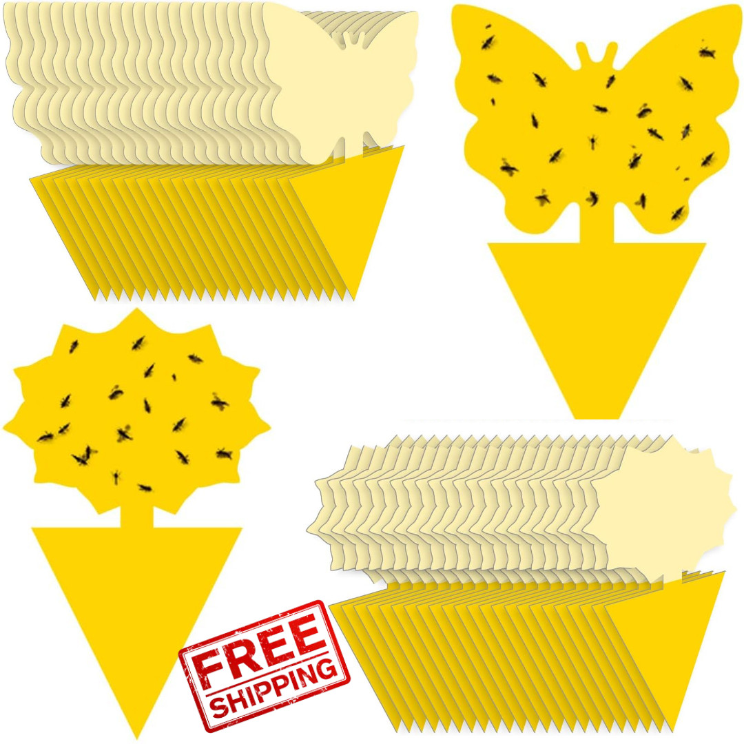 48PCS Sticky Fruit Fly Traps, Fungus Gnat Killer Trap use Indoor Outdoor