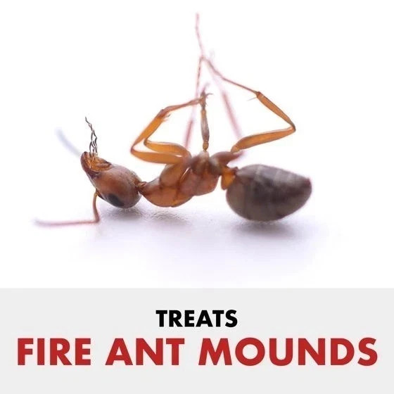 Spectracide Fire Ant Shield Mound Destroyer Granules 3.5 lb Ant Killer