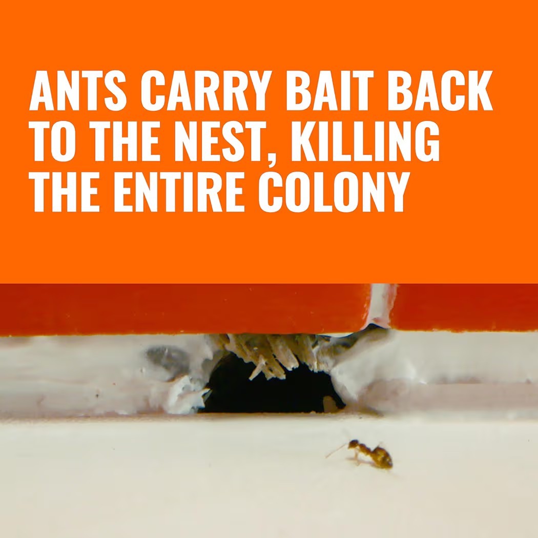 Ant Killer Bait Stations Liquid Ant Baits 12 Pcs Kills Queen Ready To Use NEW