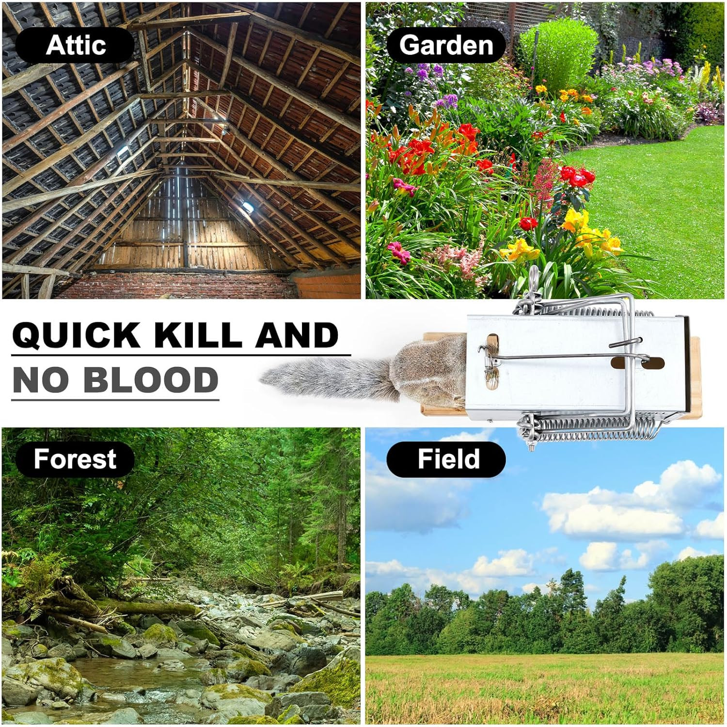 1 Pcs Tube Trap Squirrel Trap Outdoor Safe and Effective Pest Control Ground Squ