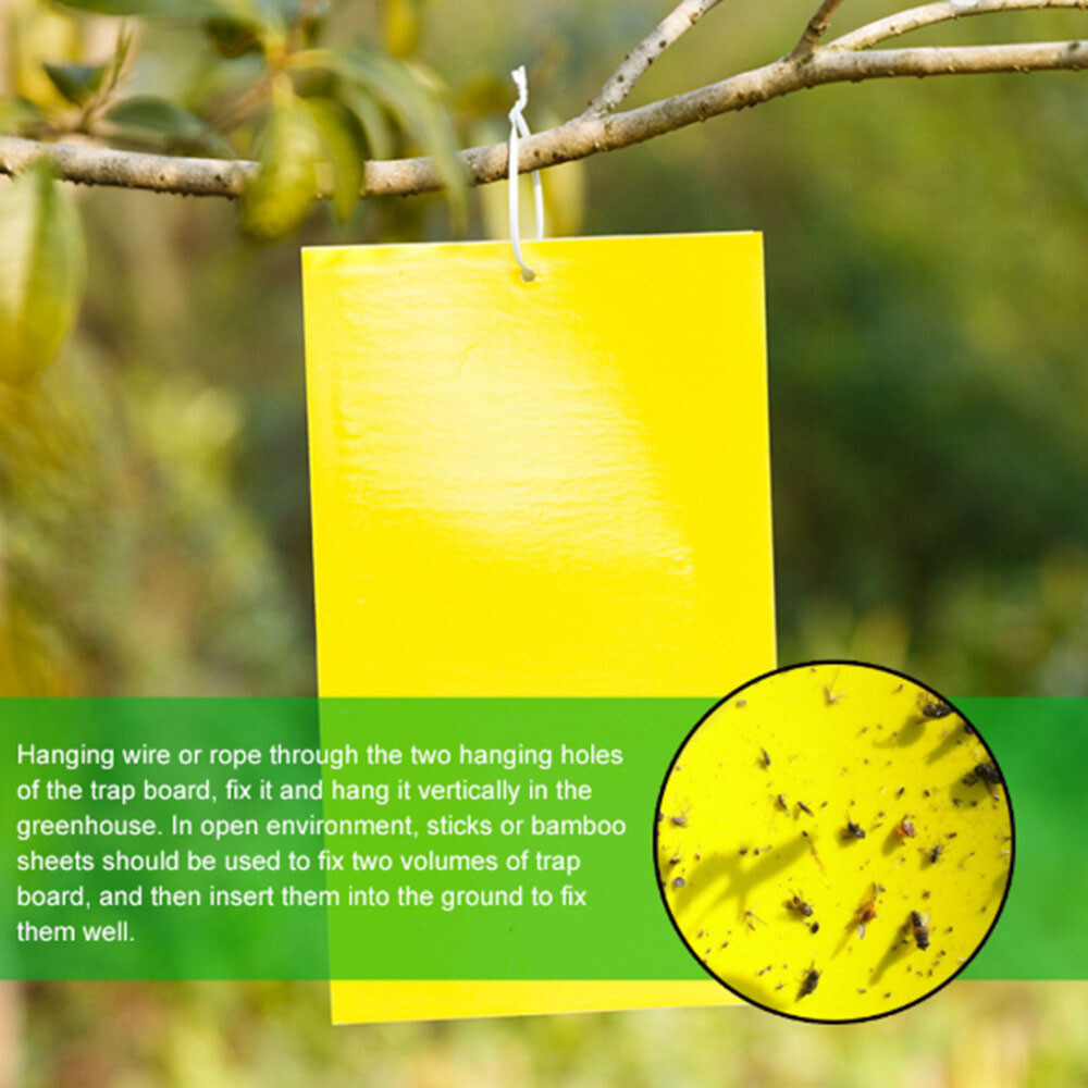 Fly Trap 20 Pcs, Yellow Fly Paper Stickers Catcher Fruit Fly Traps Indoor Non-To