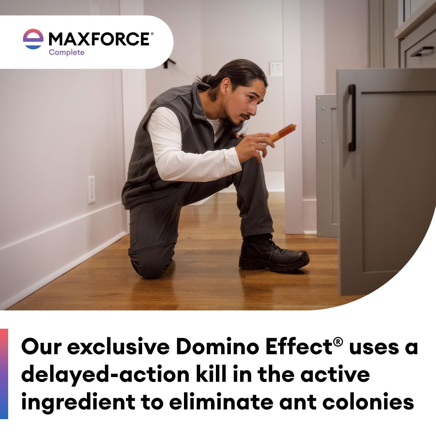 8 oz Maxforce Complete Insect Control Bait Ant Roach Silverfish Earwig Cricket
