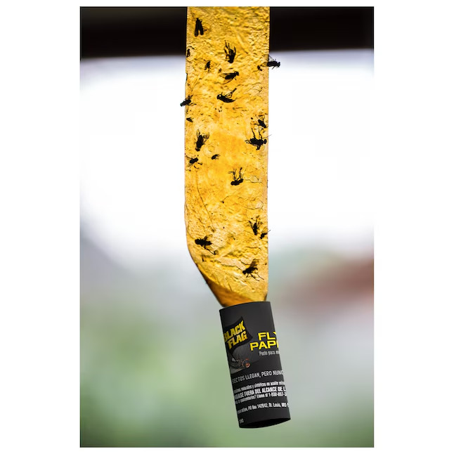 BLACK FLAG Fly Paper Indoor/Outdoor Glue Glue Insect Trap 4 -Pack