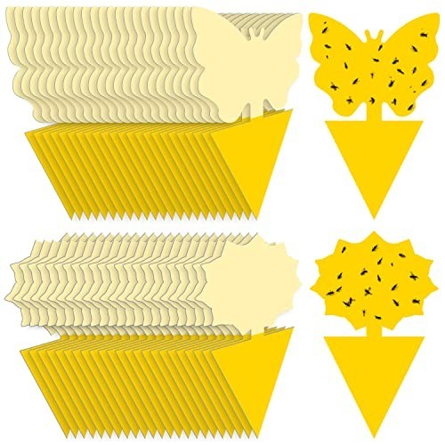 Fruit Fly Traps Indoor Fungus Gnat Trap 48PCS for Plants Yellow Houseplants