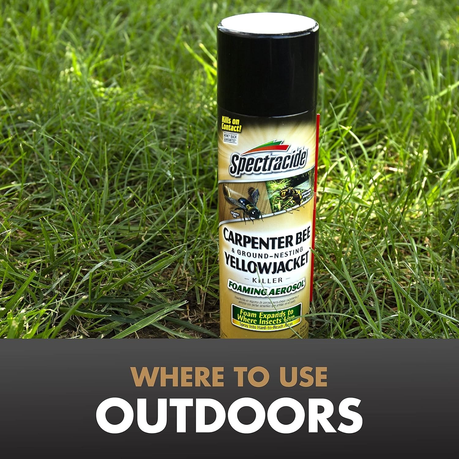 Spectracide Carpenter Bee And Ground-Nesting Yellowjacket 1 Pack, Yellow