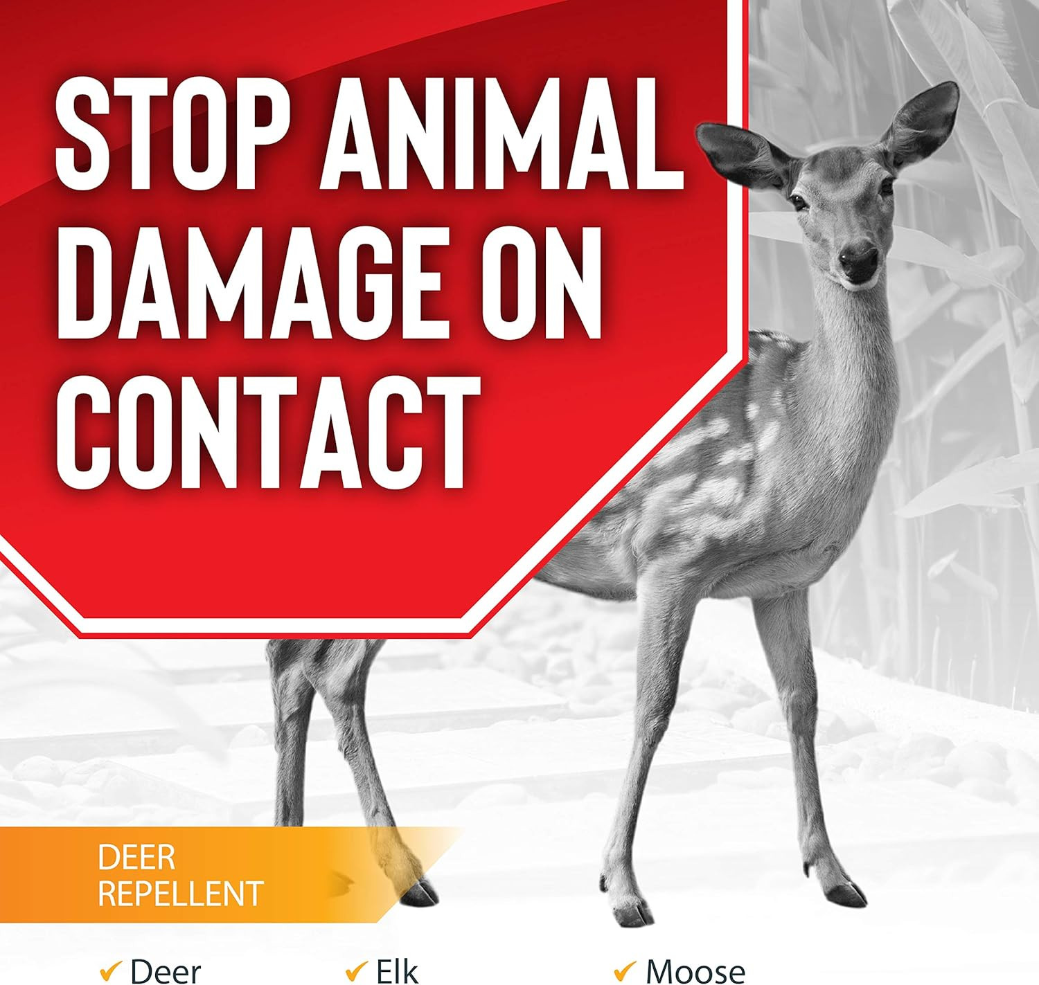 , Liquid Animal Stopper Repellent, All Natural, Effective All Year Round, Safe f