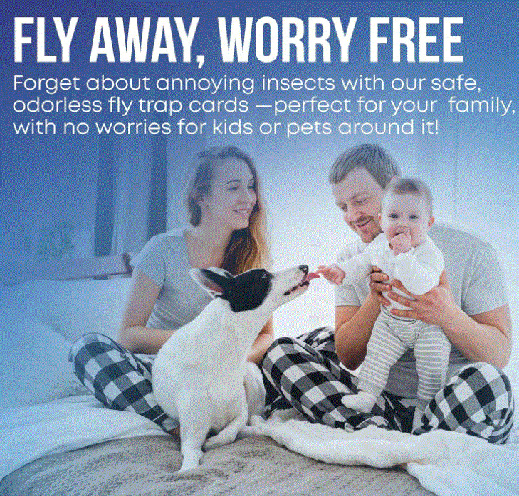 Bug Catcher and Mosquito Killer – Sticky Trap for Flies, Gnats, Fruit Flies