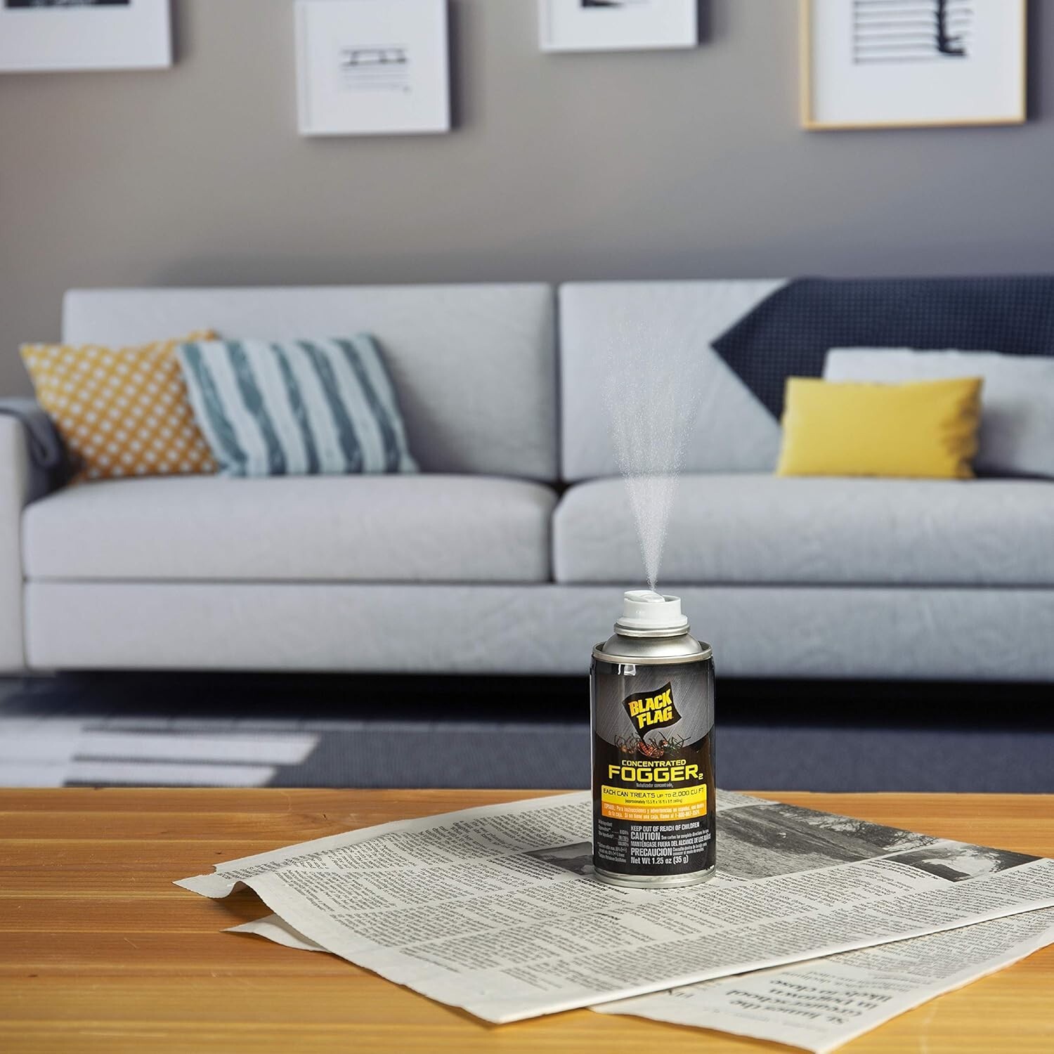 6 Can Fogger Bomb Insect Killer Bug Flies Roach Spider Indoor Bed Kill Shot Tick