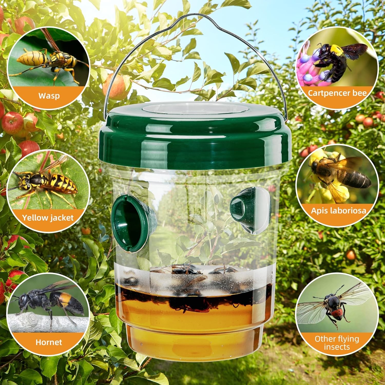 1pcs Wasp Traps Outdoor Hanging, Solar Bee Traps for Outside, Carpenter Bees