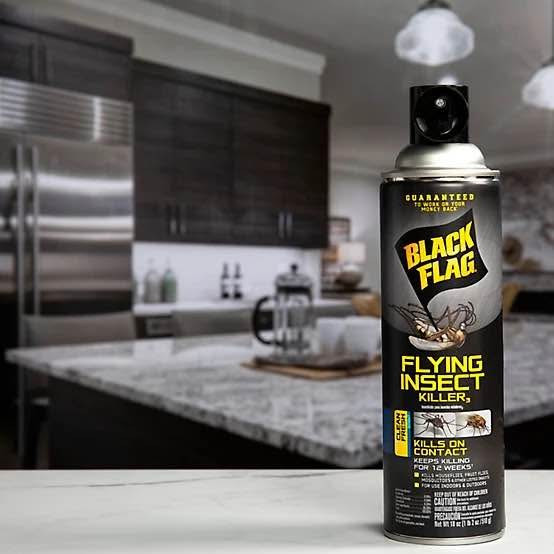 Black Flag Insect Killer Aerosol 18 oz