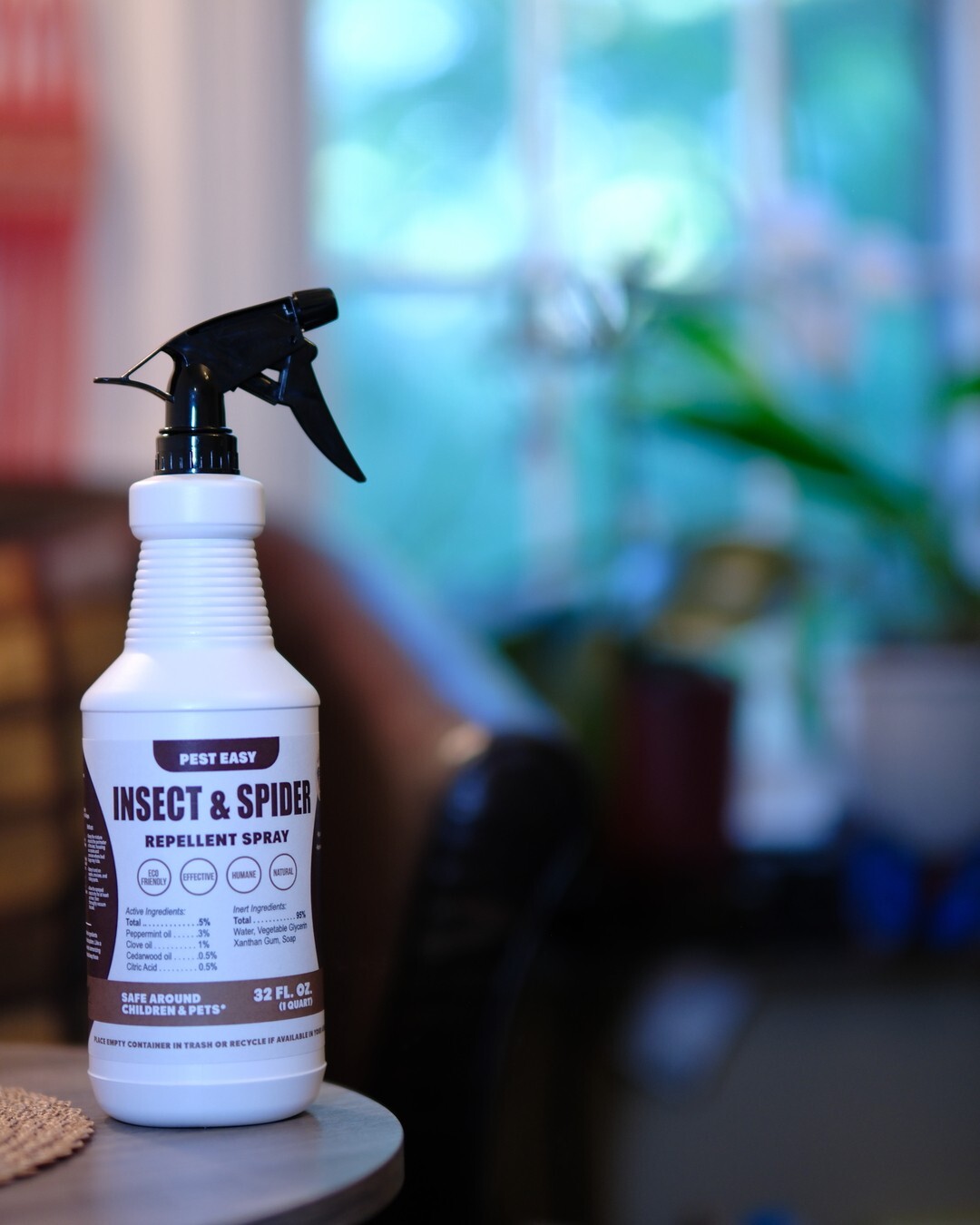 EASY Spider & Insect Mist, Natural Deterrent Safe for Home, Pets 16oz.