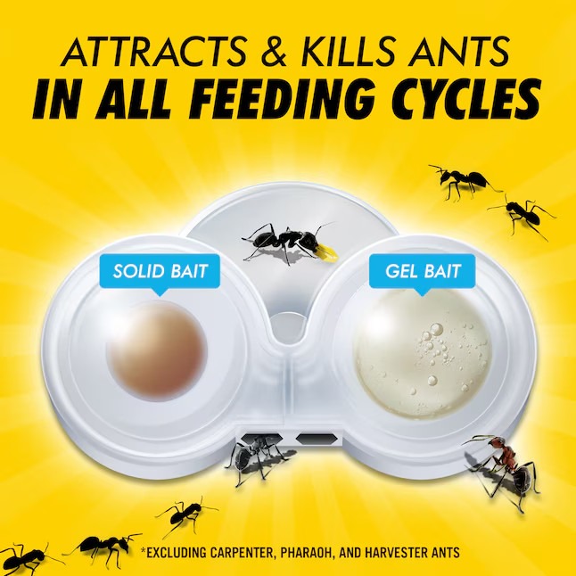 Combat Max 2-in-1 Dual Formula Indoor/Outdoor Ant Bait 4 -Count Ready to use