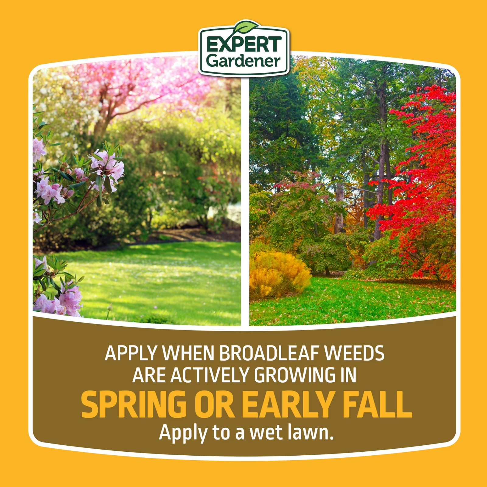 Weed Killer Kills Dandelions Clover 5000 Sq Ft Granular, 14 Lb Expert Gardener