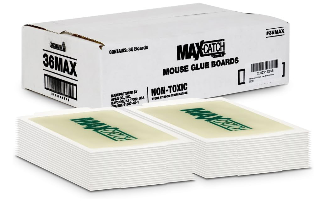 Mice Glue Traps Pest Sticky Boards Trap Catch Spiders Insect Non Toxic, 36 Count