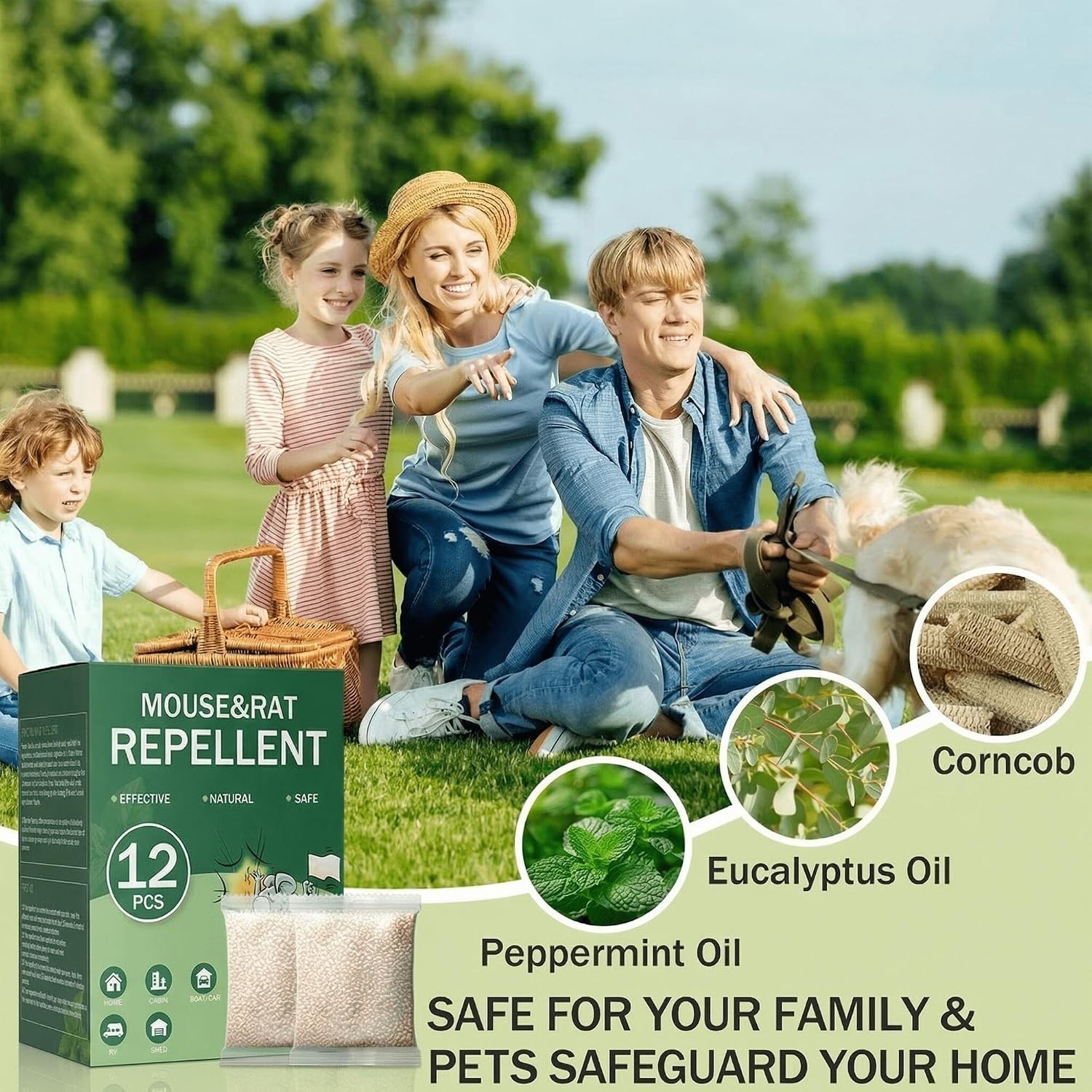 Natural Peppermint Mouse Rodent Rat Repellent,Mice Indoor&Outdoor Deterrent,12PC
