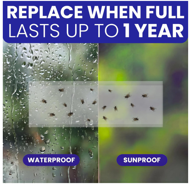 50 Pack Window Fly Traps Sticky Clear Non-Toxic Indoor Fruit Gnat Housefly Trap