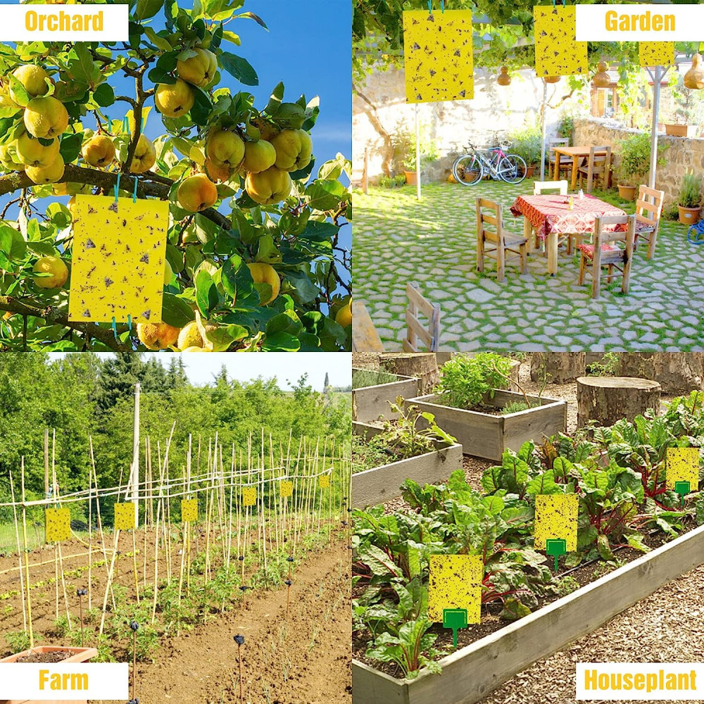 Sticky Fly Trap Paper Yellow Traps Fruit Flies Insect Glue Catcher Pest Control