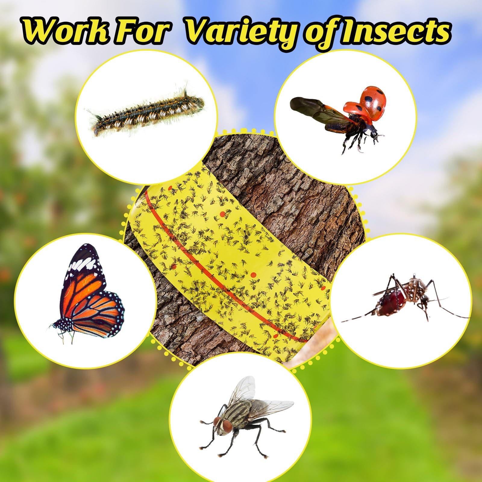 12 Rolls (30 Feet Each) Spotted Lantern Fly Tree Trap Outdoor Fruit Fly Stick…