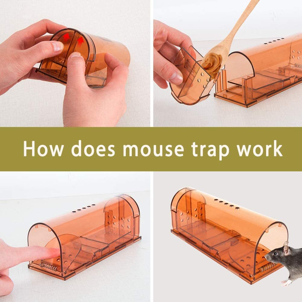Humane Mouse Traps – 2 Pack – Live Catch and Release – #1 Best Selling Mousetrap