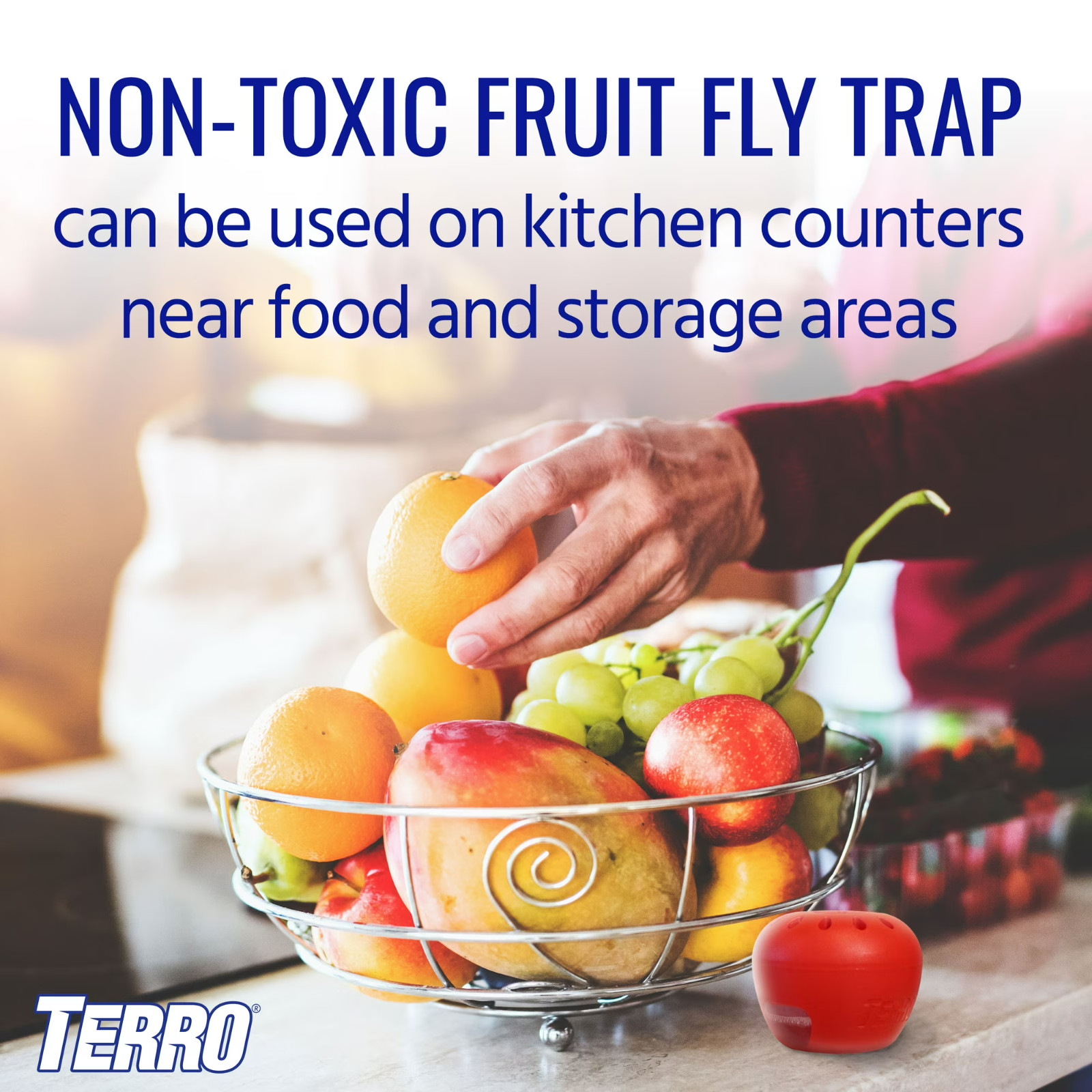 Indoor Fruit Fly Trap, (2-count) , Terro Traps, In Built With Window Sinks…