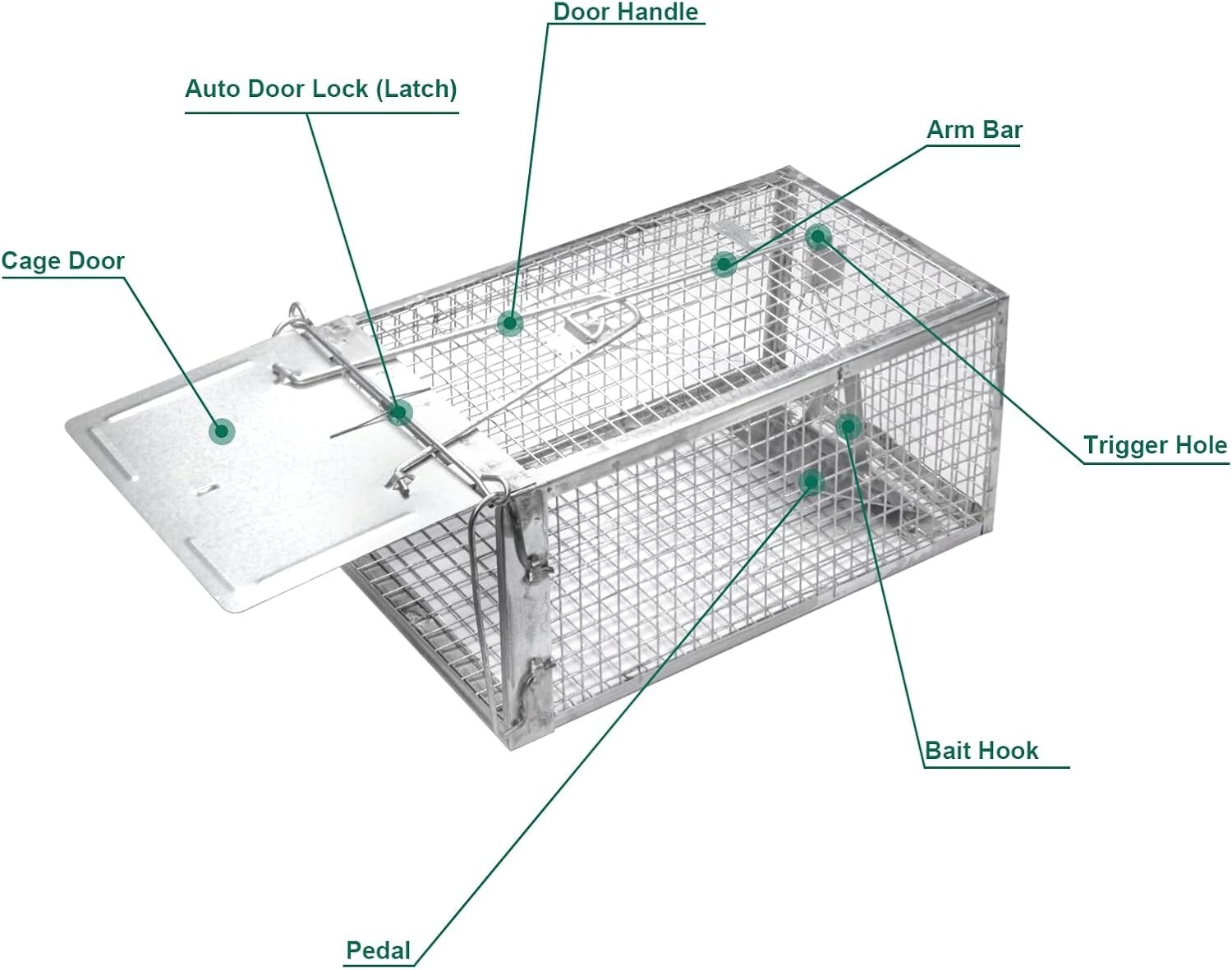 Medium Mouse Trap Rat Trap Rodent Trap Live Catch Cage Easy to Set Up and Reuse