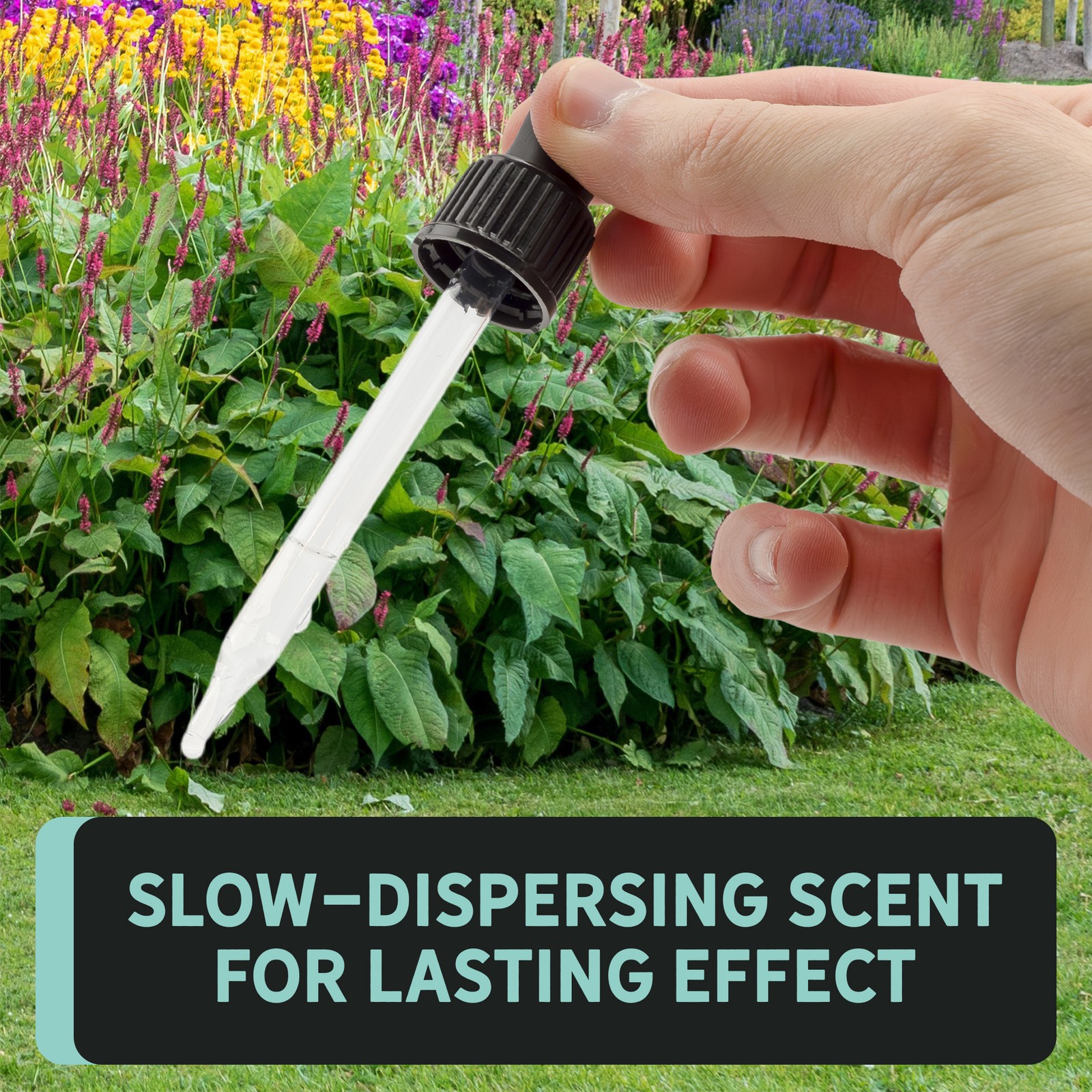 Carpenter Bee Formula: Scented Pheromone Attractant 2oz