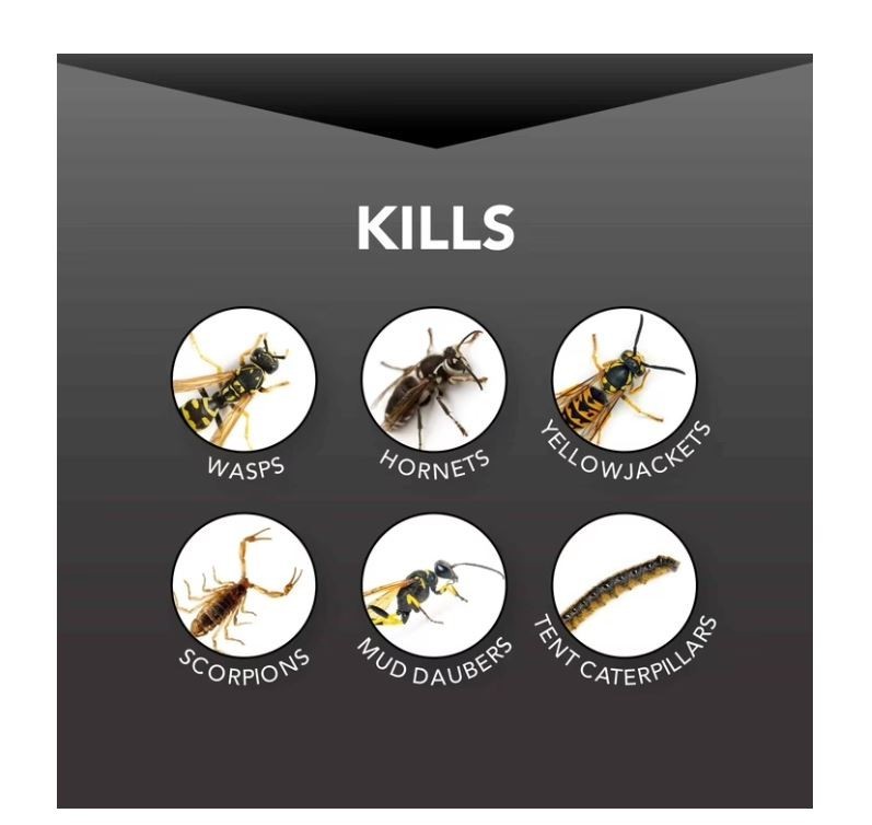 (9 pack) Eliminator Wasp and Hornet Killer Aerosol, 17 Ounces, 3 Pack