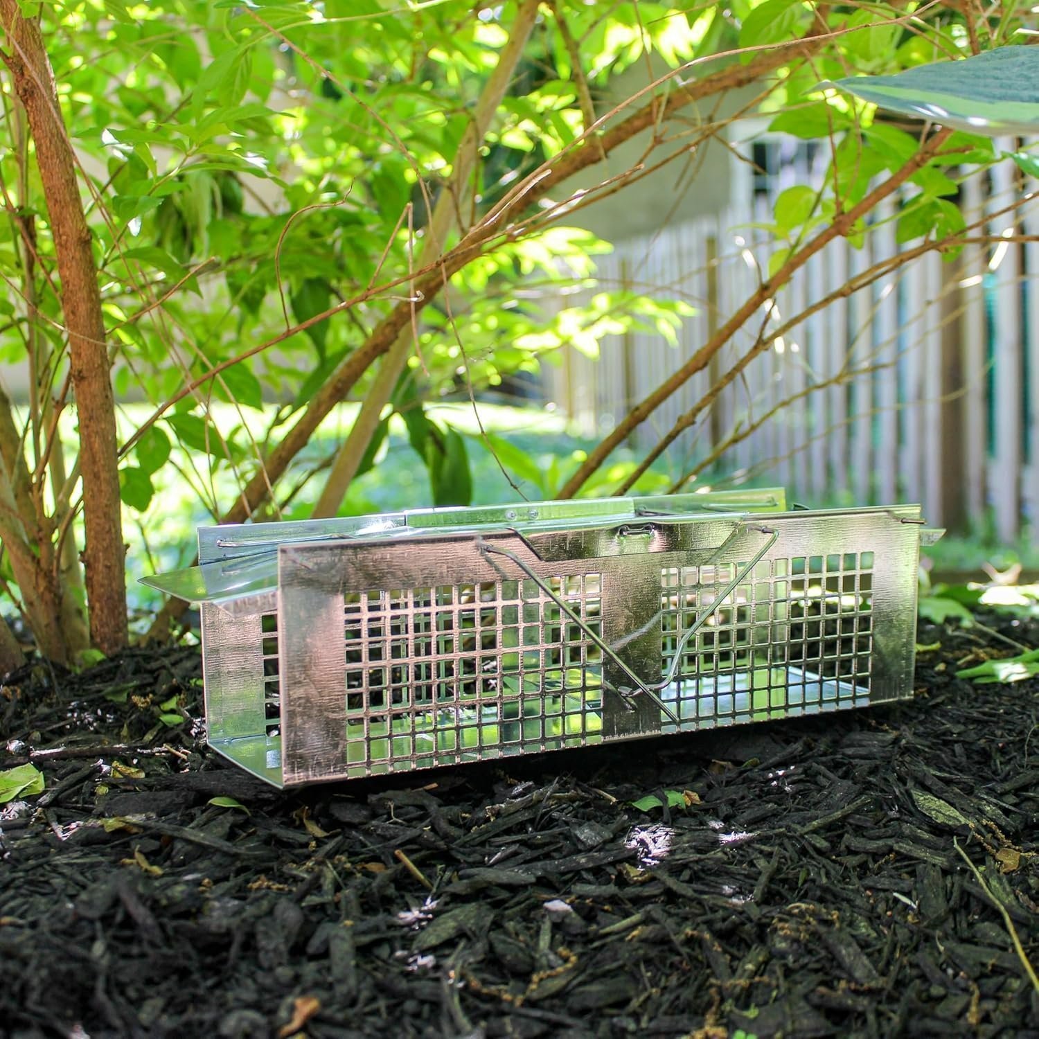 Havahart X-Small 2-Door Humane Catch and Release Live Animal Trap for Moles,…