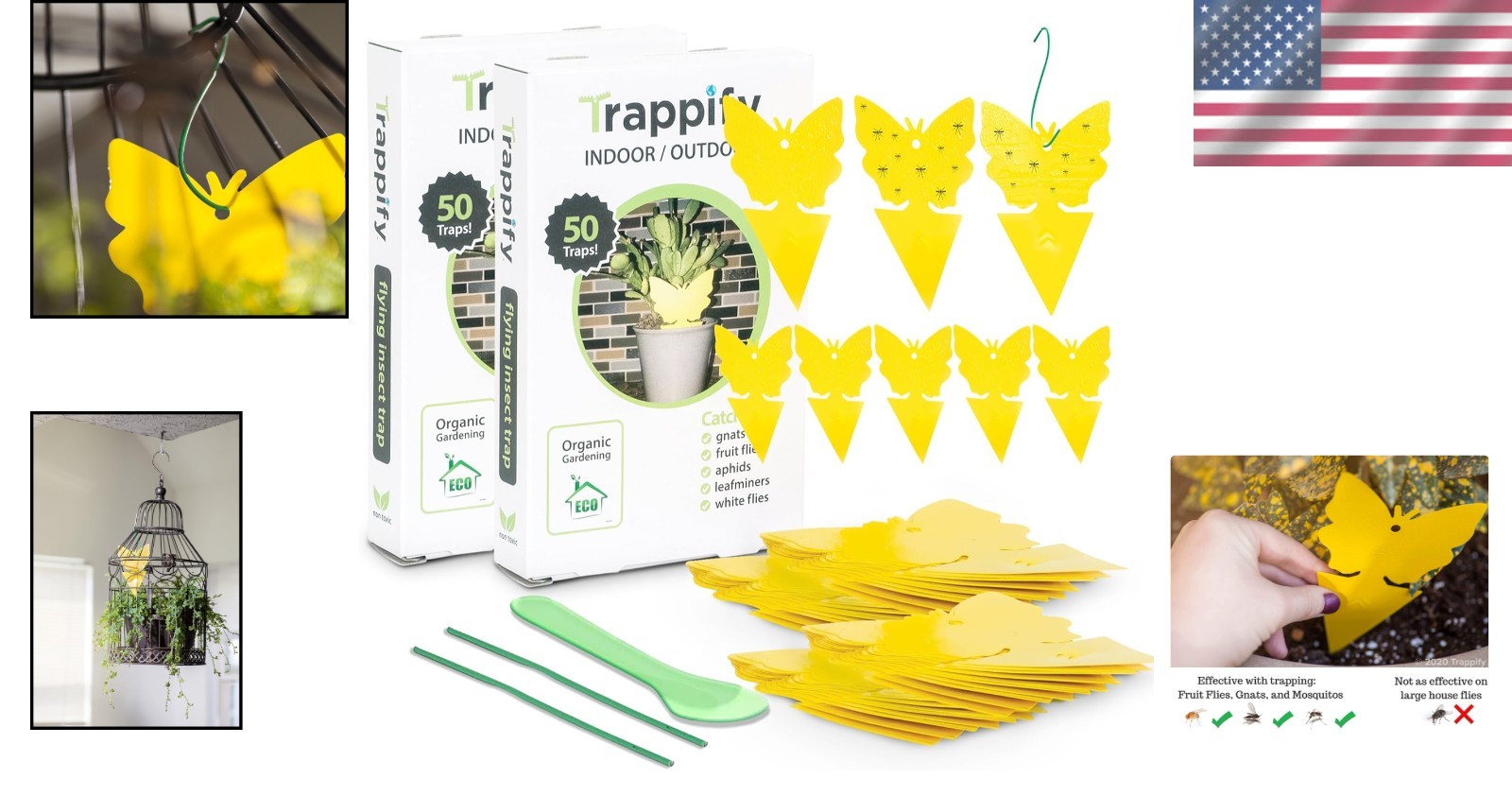 Modern Disposable Glue Fly Traps – 100 Pack for Gnat and Mosquito Control