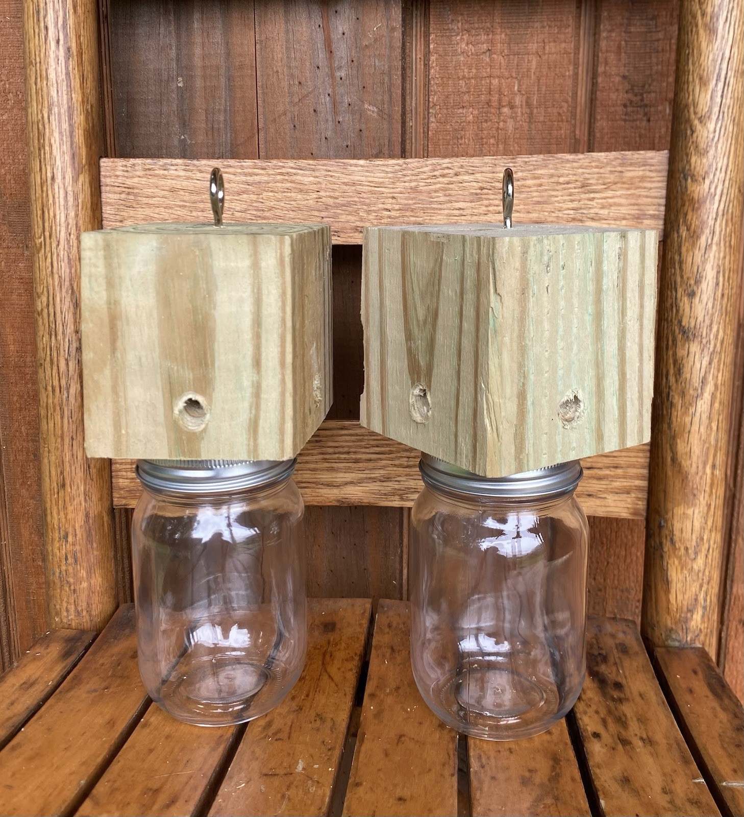 A PAIR Of Paw Paw’s Pressure Treated Carpenter BEE TRAPS FREE SHIPPING!