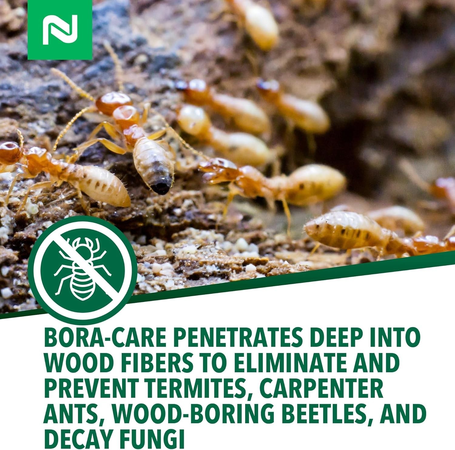 Bora-Care Termite Control BoraCare Termiticide & Borate Fungicide – 1 Gallon