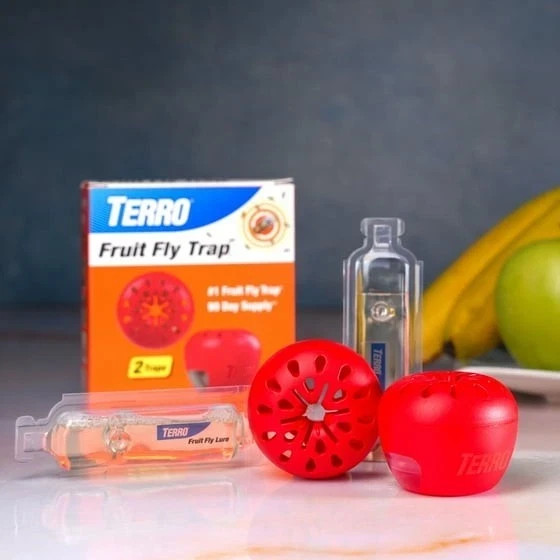 Indoor Fruit Fly Trap, (2-count) , Terro Traps, In Built With Window Sinks…