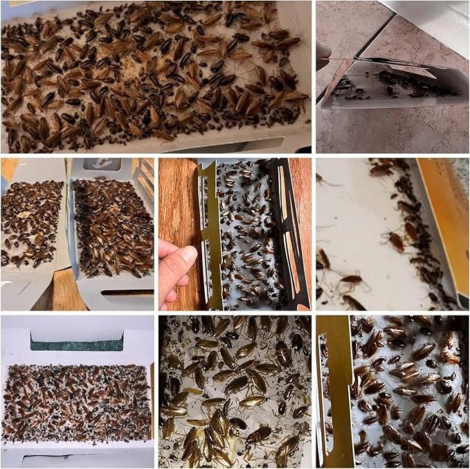 20 Pack Roach Sticky Glue Roach Traps for Indoor Pest Control