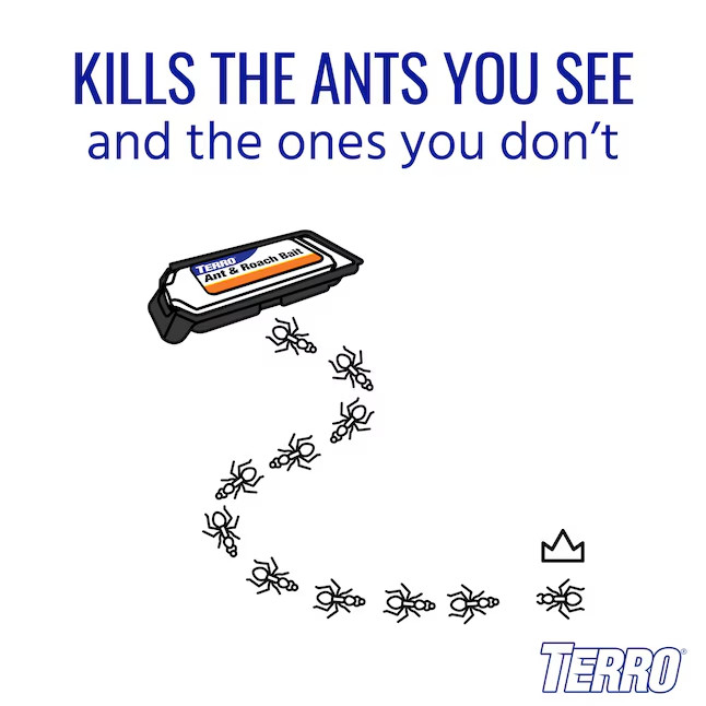 TERRO Ant and Roach 1.72 -fl oz Ready to use Roach bait station 4 -Pack