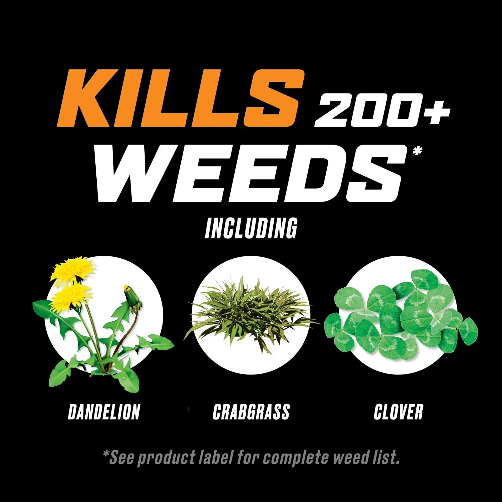 Ortho WeedClear Lawn Weed Killer Concentrate, Kills Crabgrass and Dandelion, 32