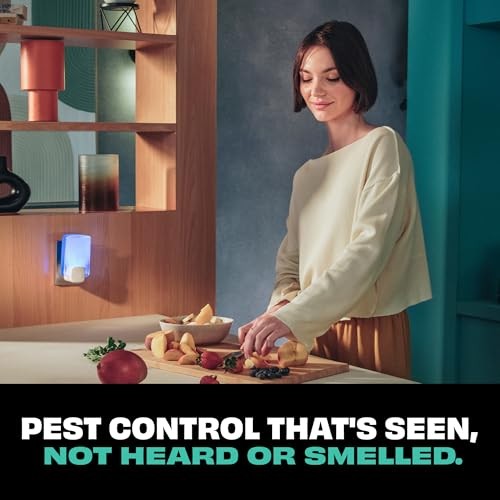 Indoor Fruit Fly & Gnat Insect Trap – Indoor Pest Control