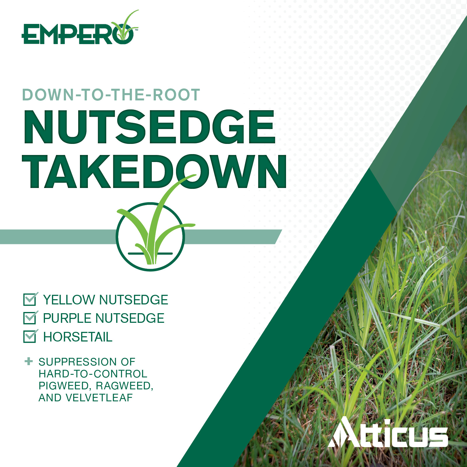 Empero Nutsedge Killer 1.33 oz – Compare to SedgeHammer- Halosulfuron-Methyl 75%