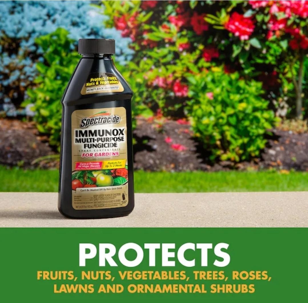 Spectracide Immunox Multi-Purpose Fungicide Spray Concentrate For Gardens 16 Oz