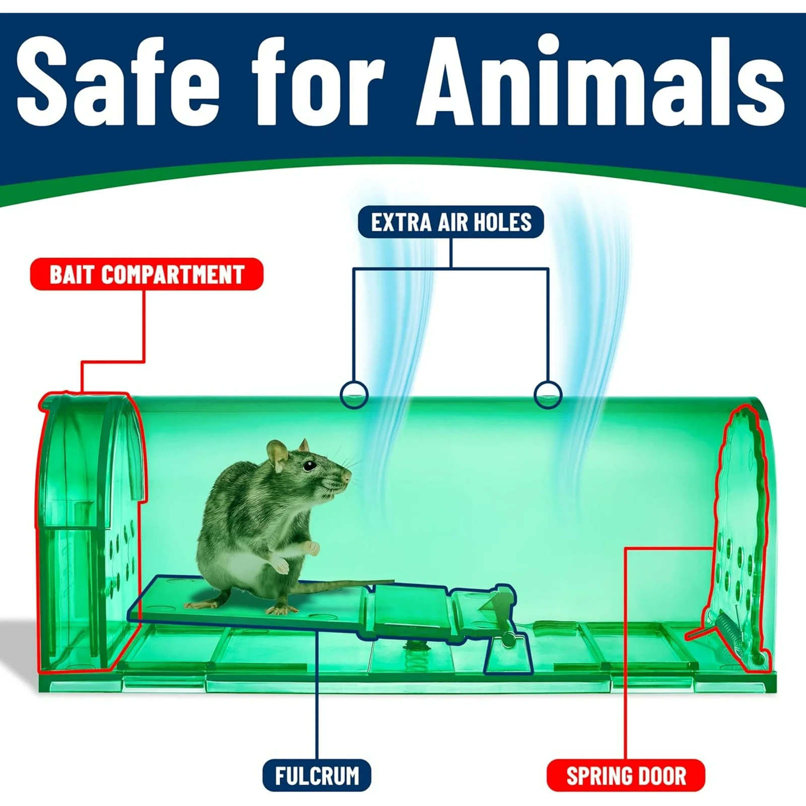Campior Humane No-Kill Mouse Trap Indoor, Child & Pet Safe, 6-Pack, Green