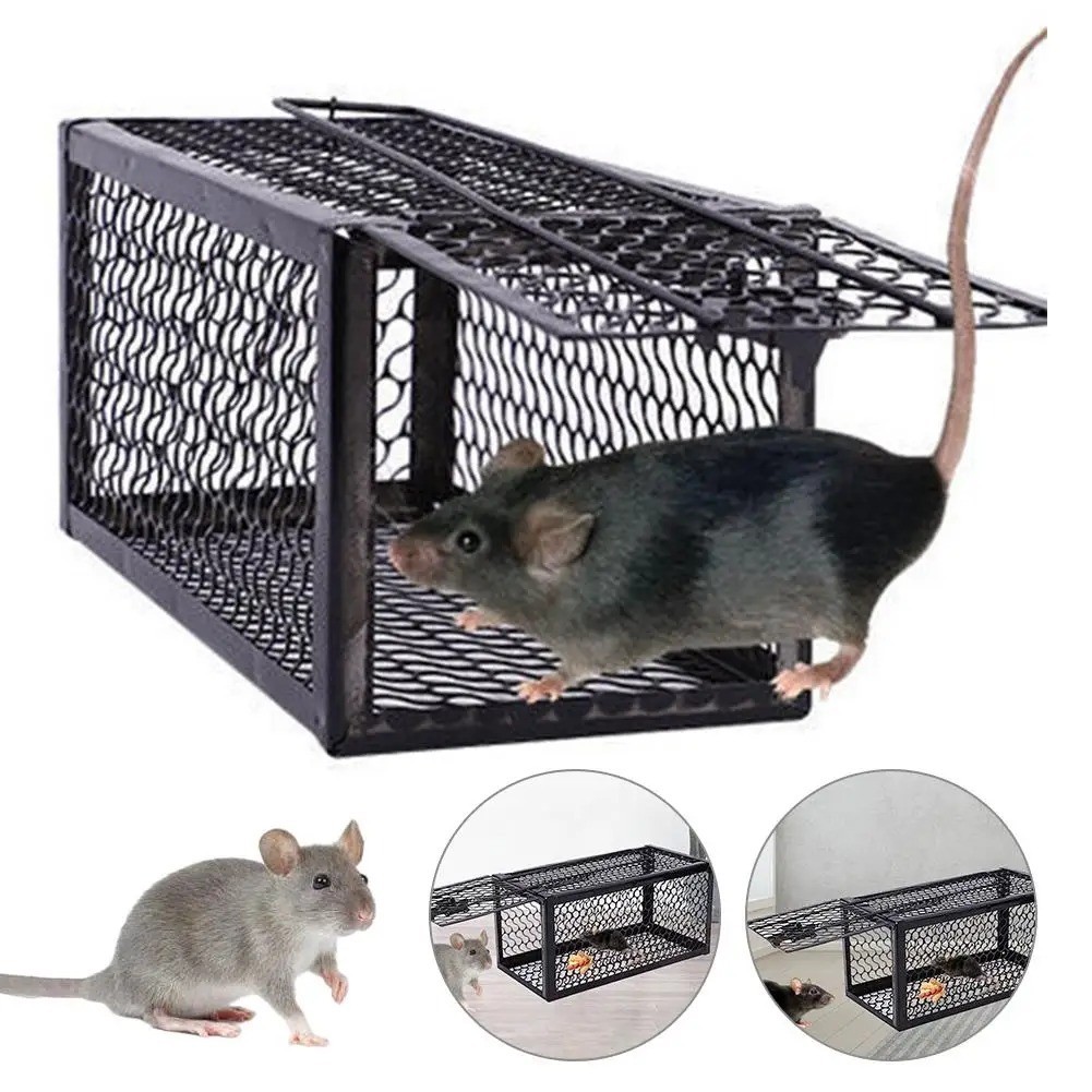 USA Mouse Trap Rat Trap Rodent Trap Live Catch Cage, Easy to Set Up and Reuse