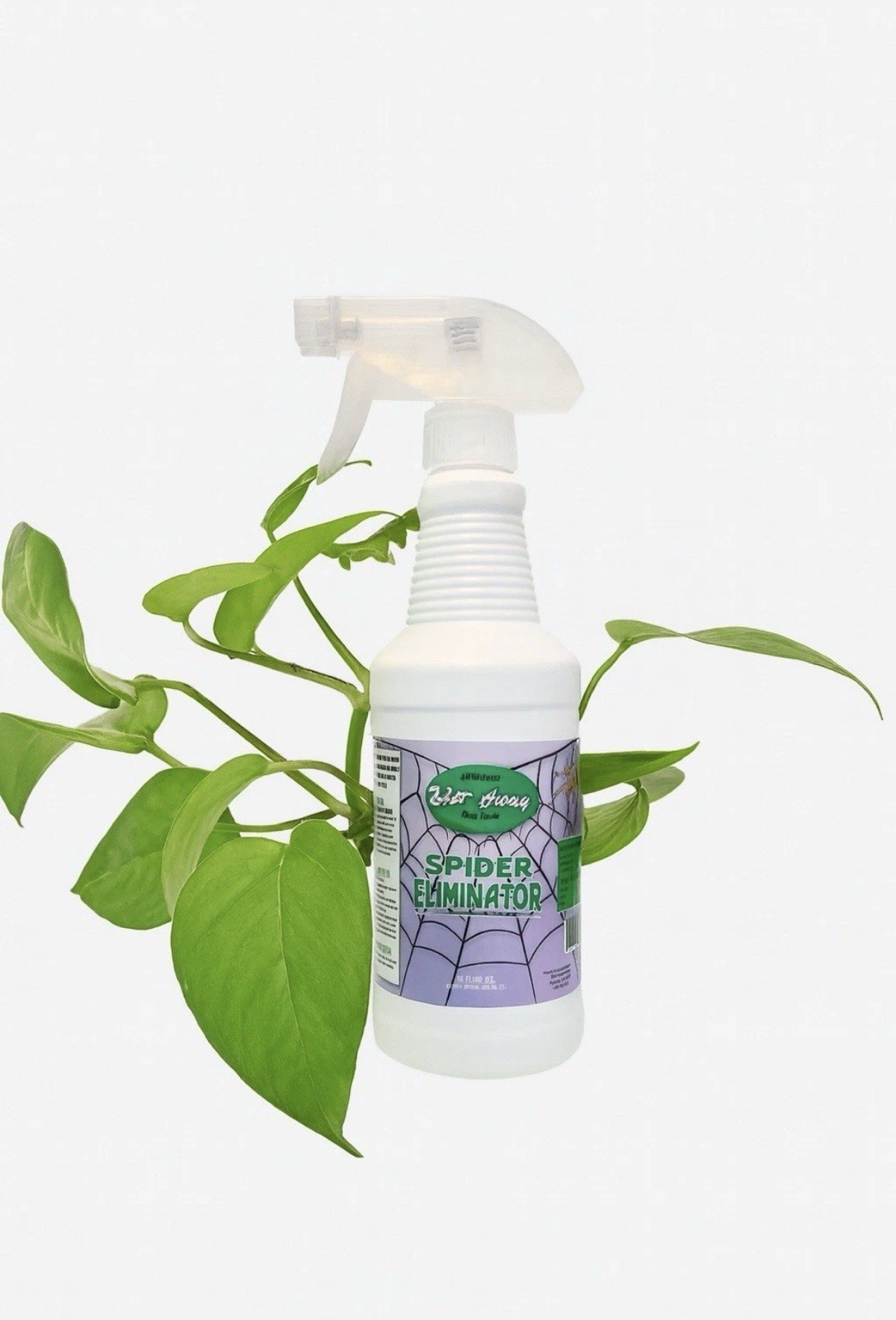 WebAway Natural Spider Repellent Spray-Non-toxic Web Eliminator Long Lasting
