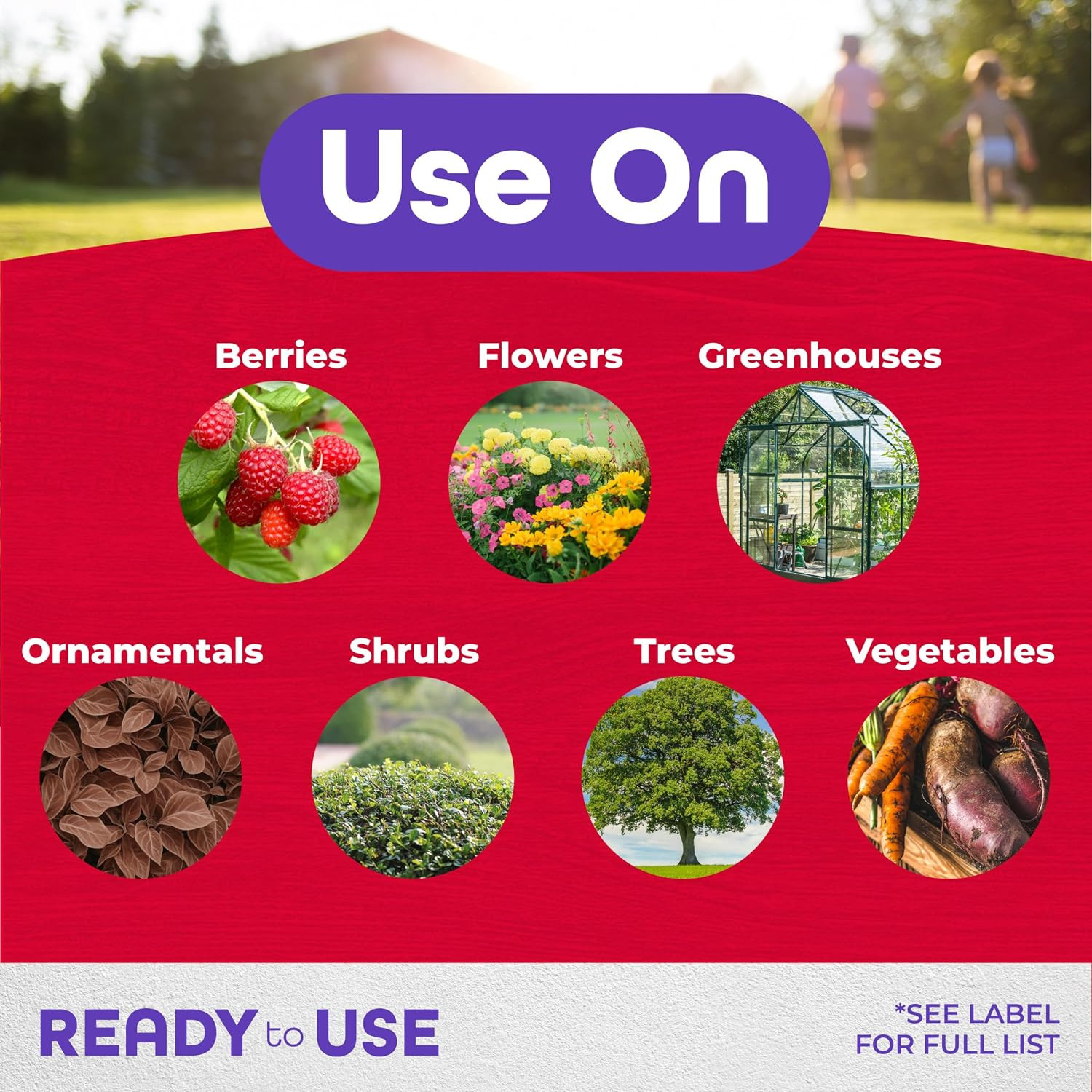 Bonide Insecticidal Soap, 32 Oz Ready-To-Use Spray Multi-Purpose Insect Control