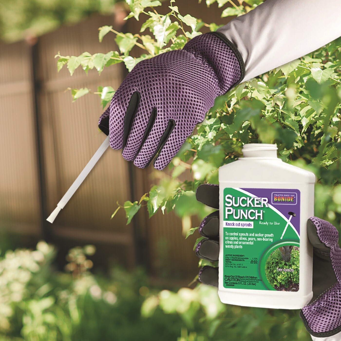 Bonide 276 8 Oz Sucker Punch Brush On Sucker & Sprout Control , Growth Regulator