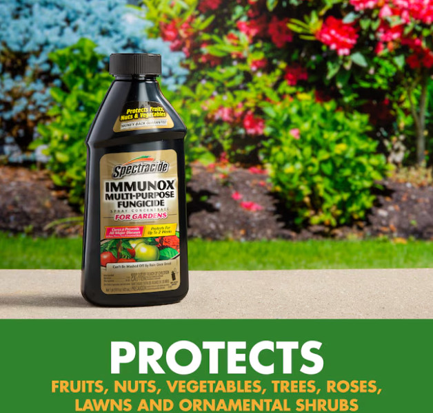 6-PACK Spectracide Immunox Multi-Purpose Fungicide Spray Concentrate