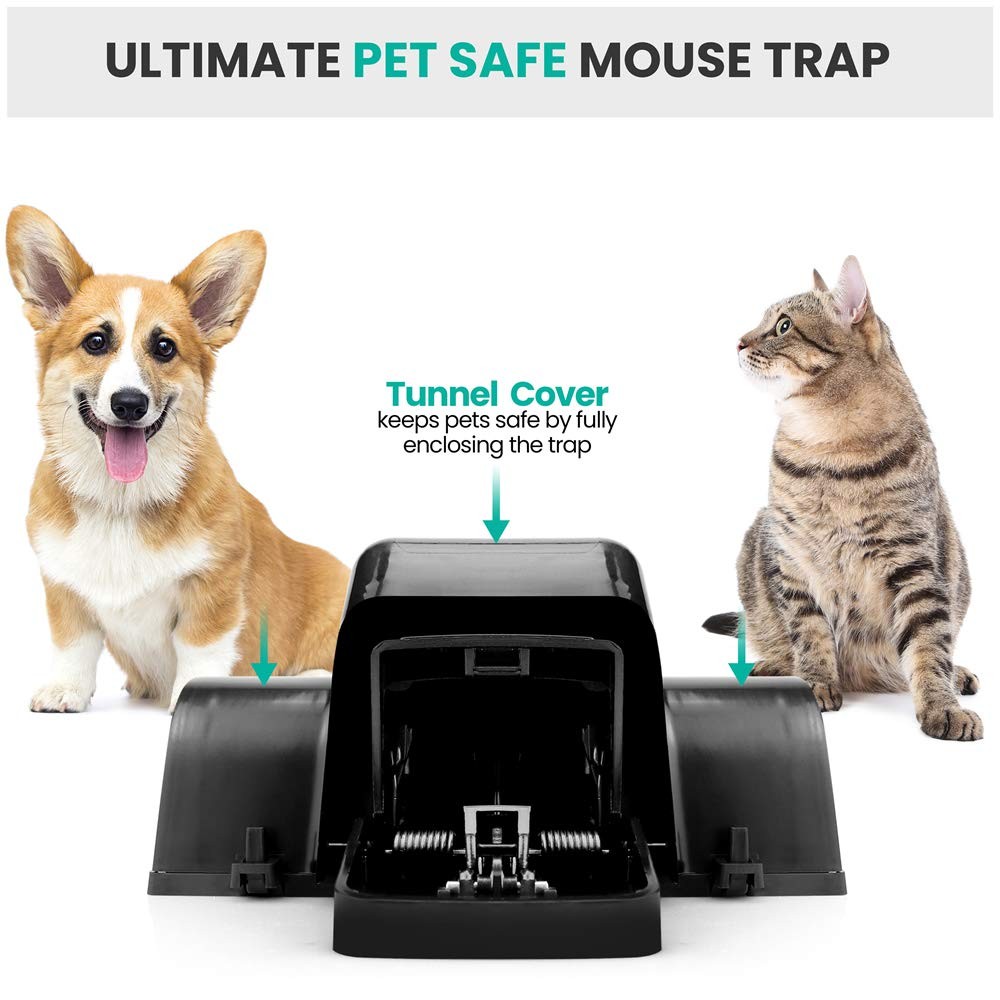 Pet-Safe & Child-Safe Rat Traps w/Tunnel Design – Dual Entry for Better Captu…