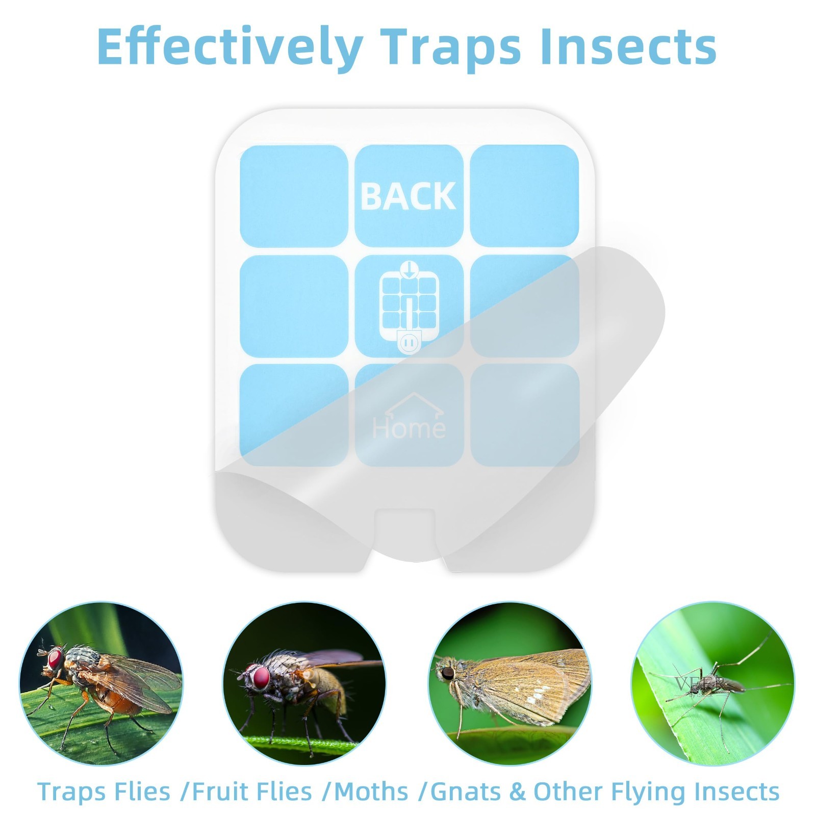 40 Pack Safer Home Fly Refill Plug-in Insect Trap Replacement for SH502 SH503